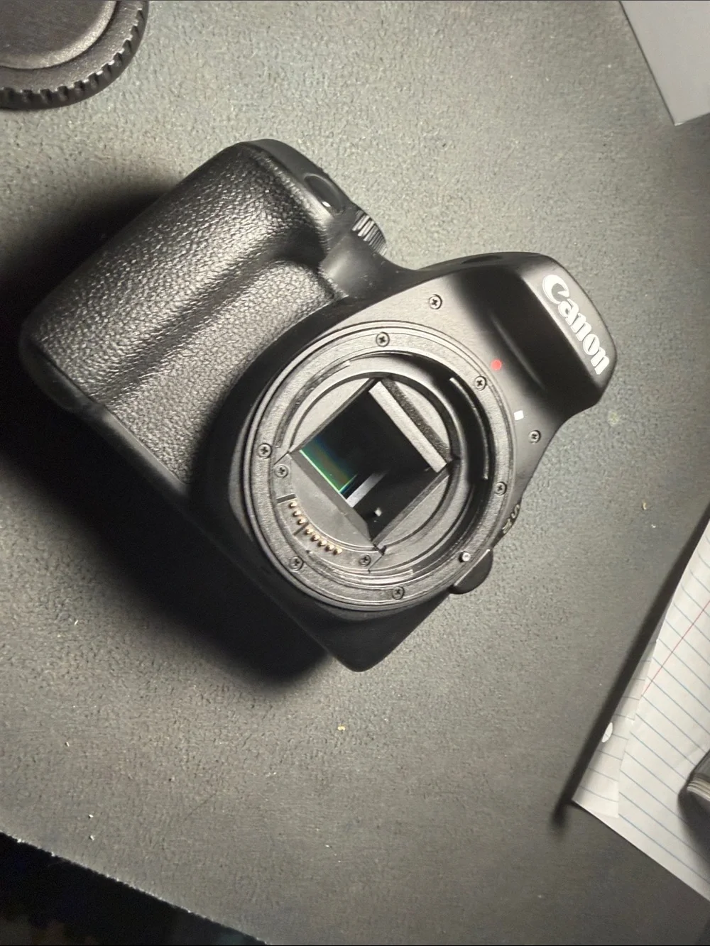 Canon DSLR Camera Body in Black